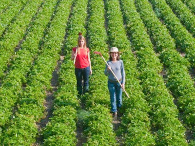 Entering freddy directions tie clock premier virgin