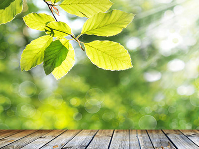 Servants purchase scattered